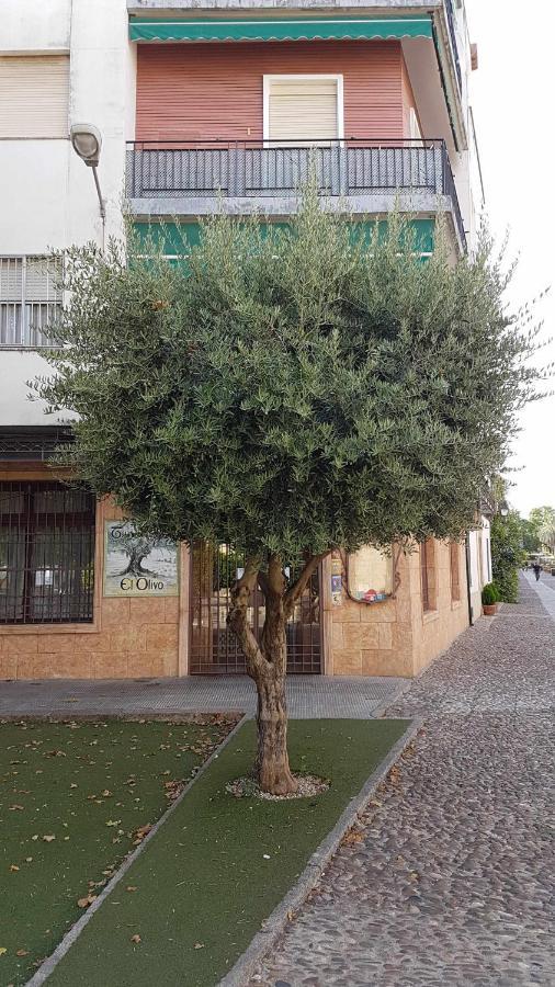 Fantastico Apartamento Junto A La Juderia Córdoba Exteriér fotografie